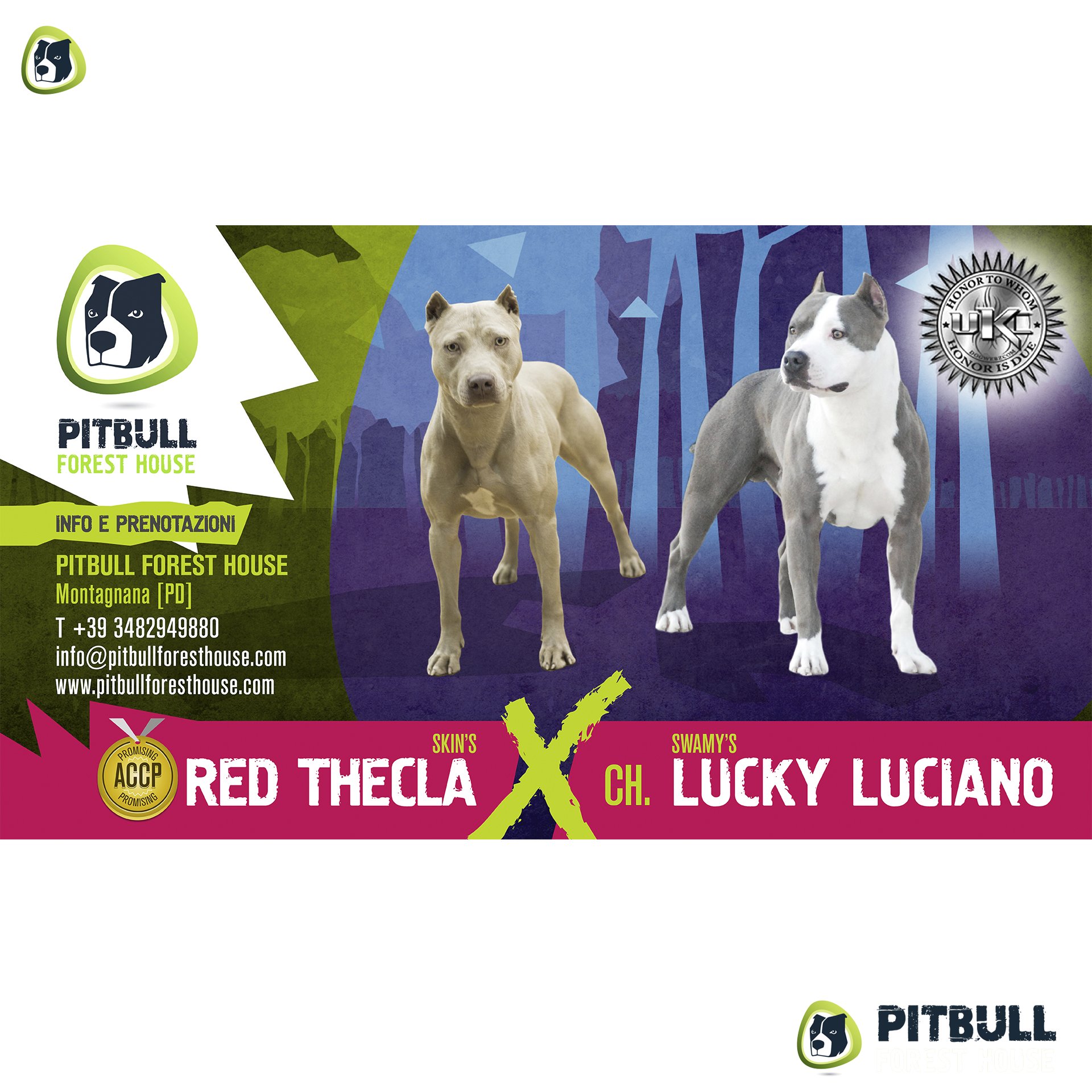 pitbull forest house