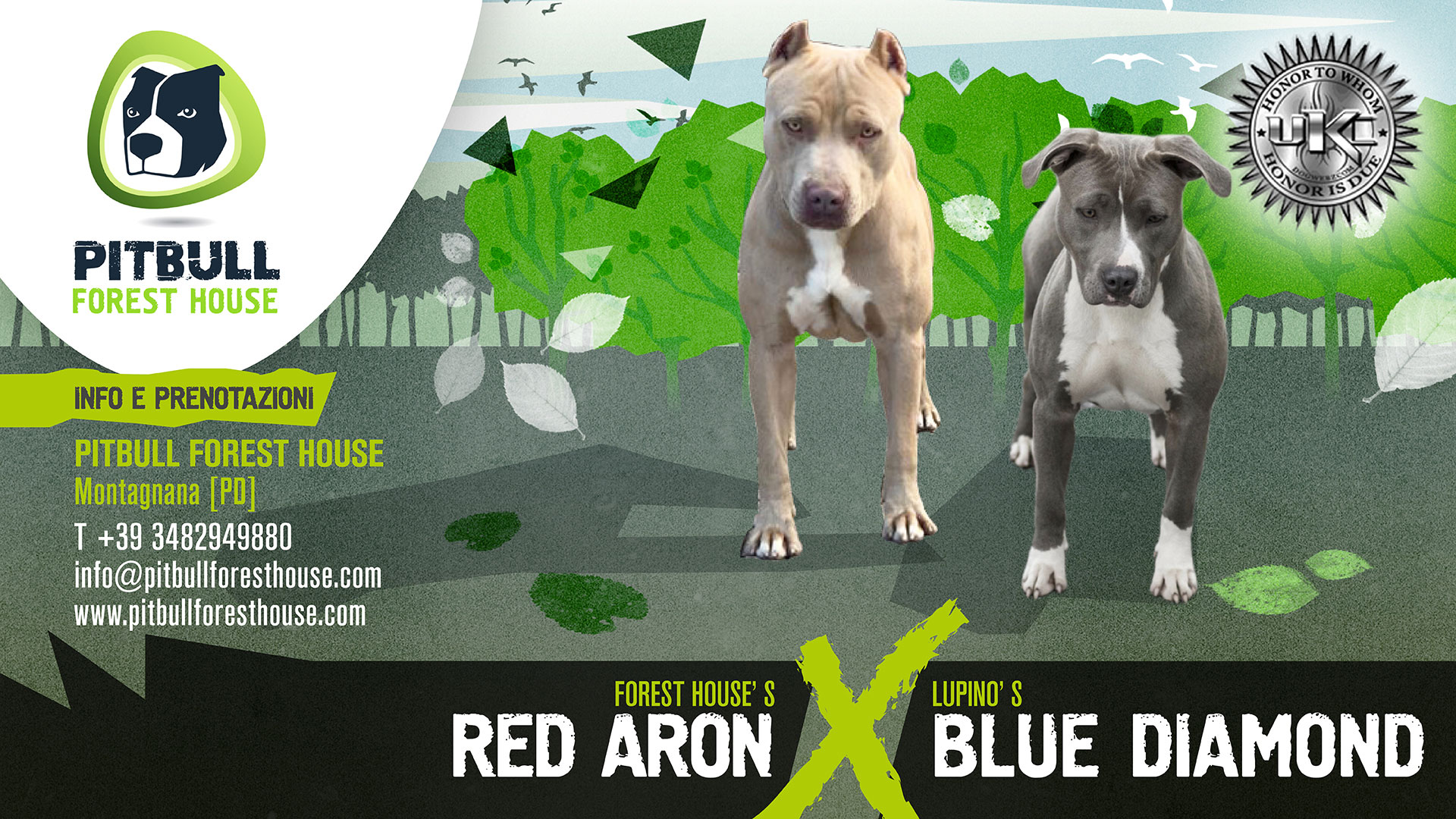 Forest House Red Aron x Lupino Blue Diamond