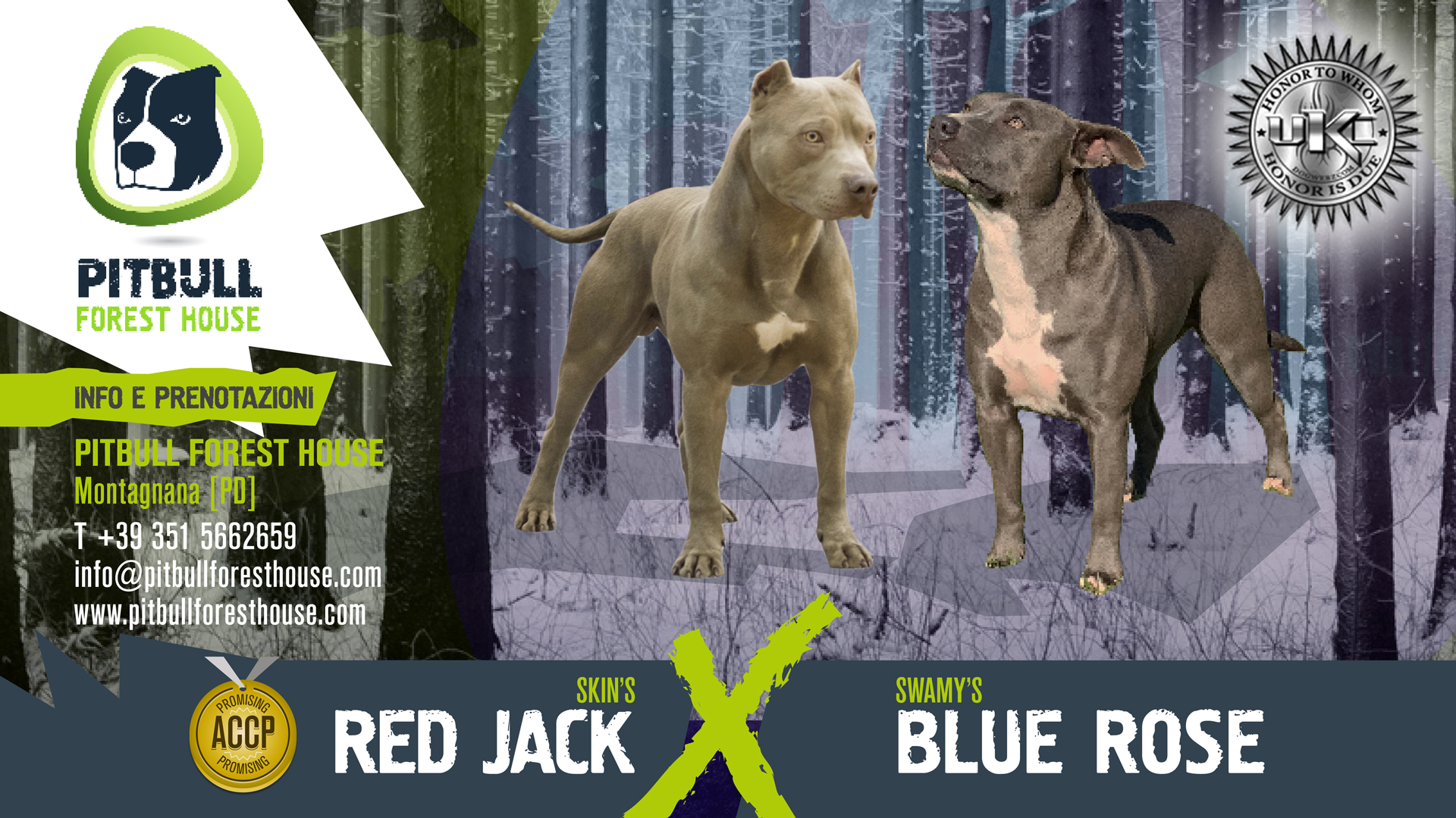 Rose x jack