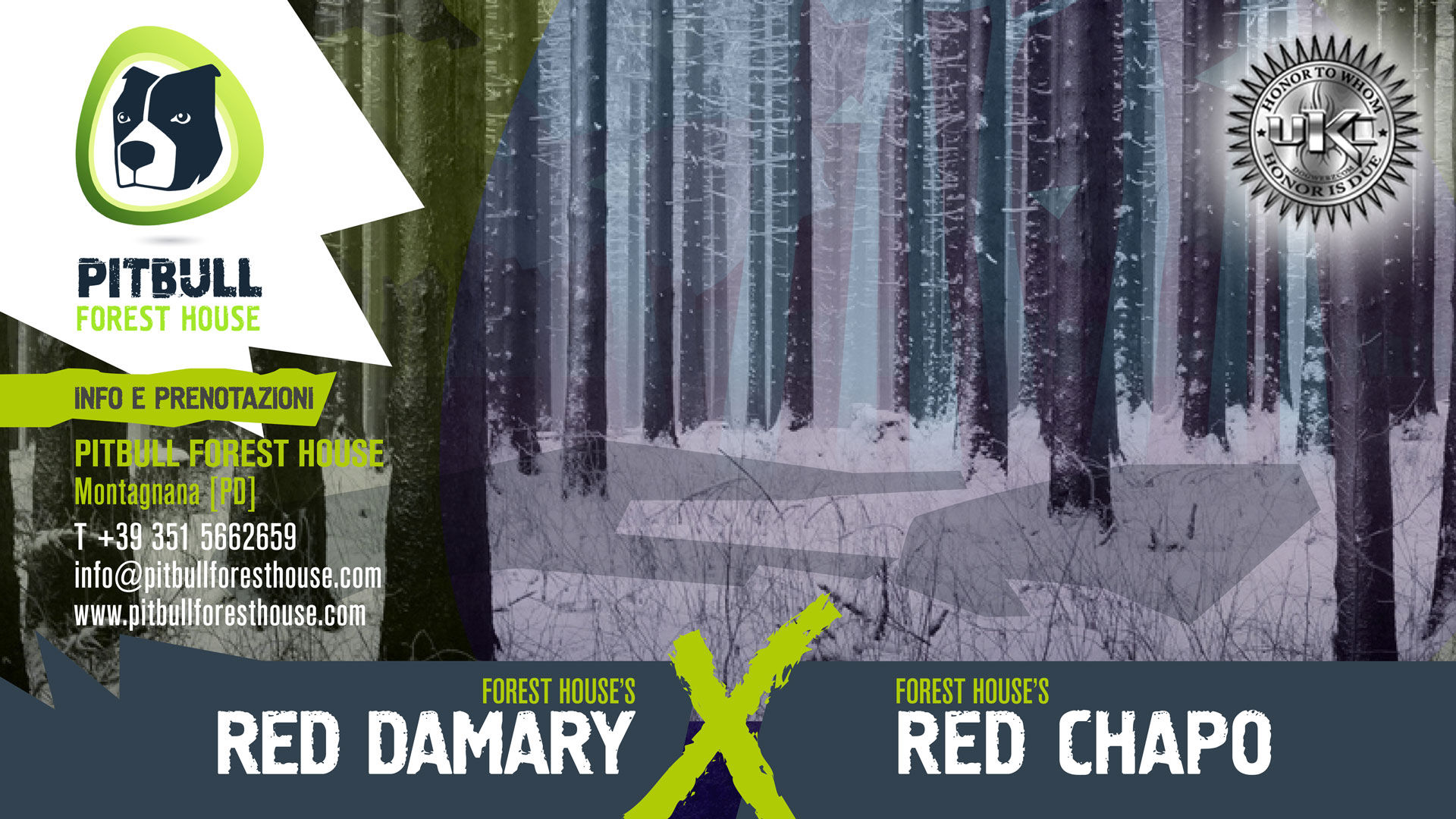 DAMARY X CHAPO