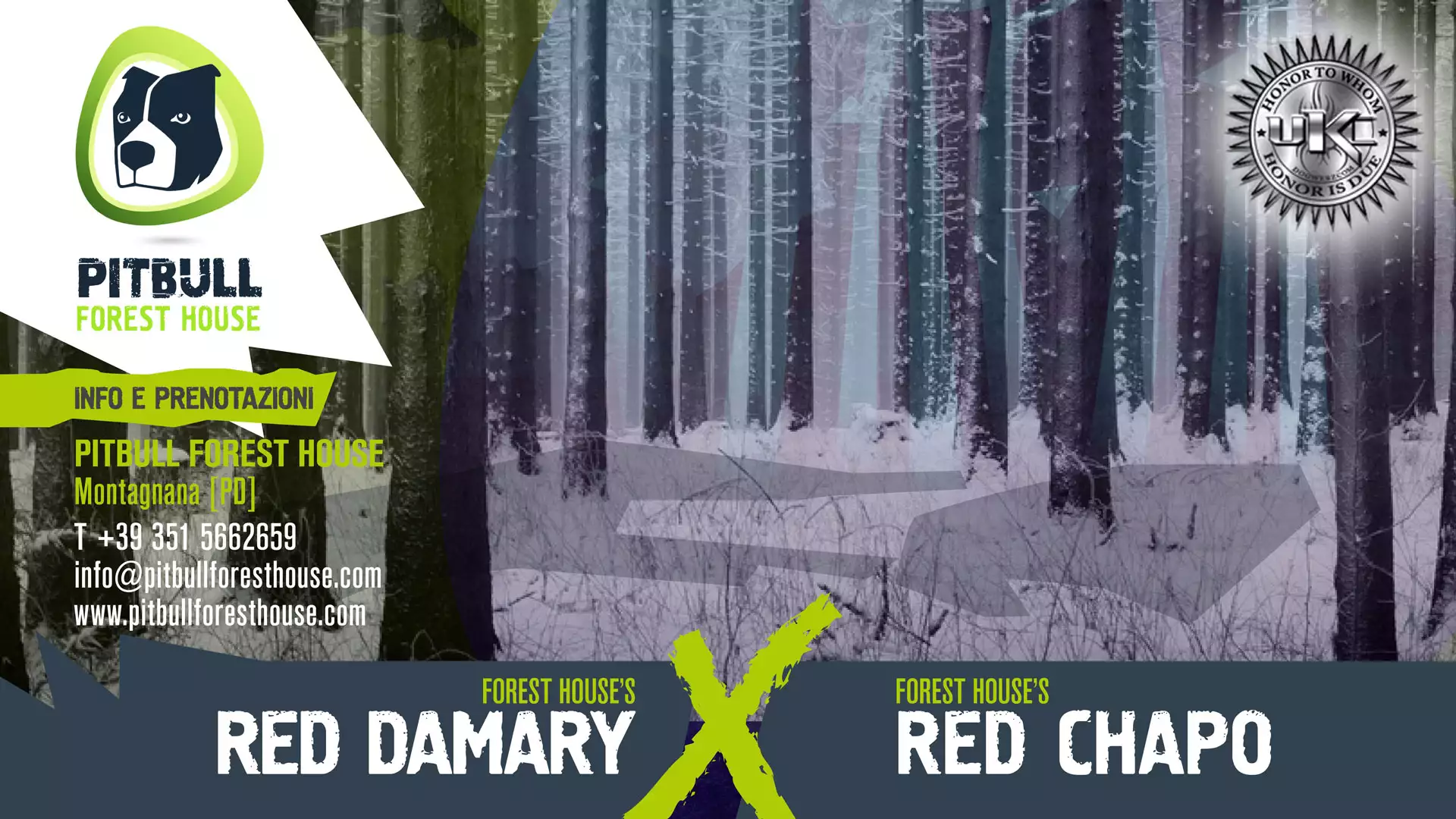 DAMARY X CHAPO